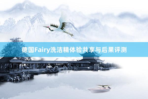 德国Fairy洗洁精体验共享与后果评测